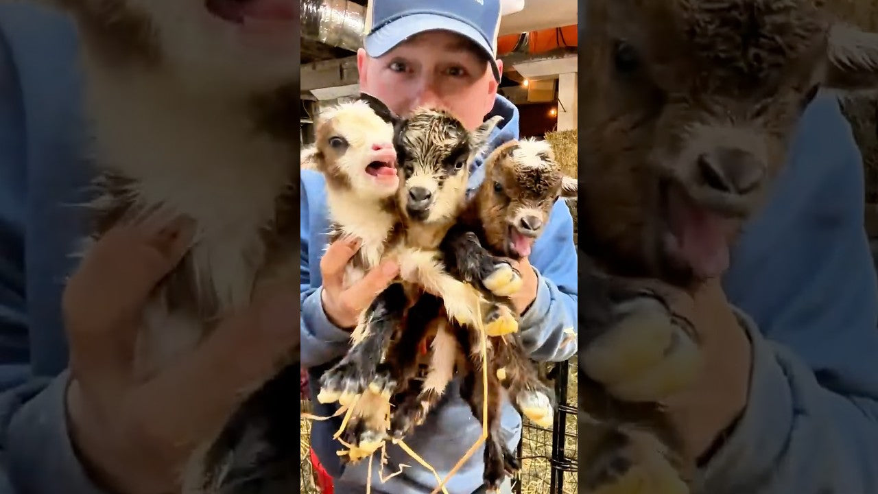 Justin holding Twila’s triplets