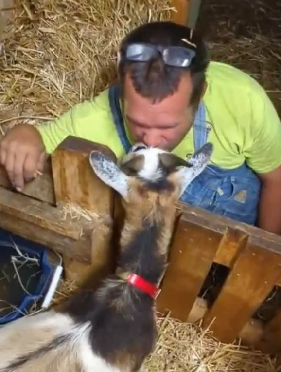 Jeff leaning over a wooden pen to greet a brown-and-white goat nose to nose.